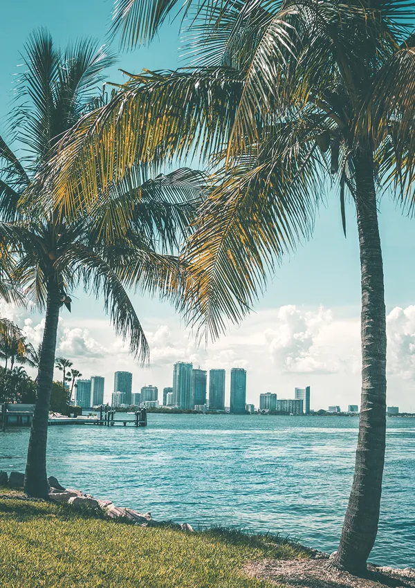 Curso de verano en Florida de Learning Experience